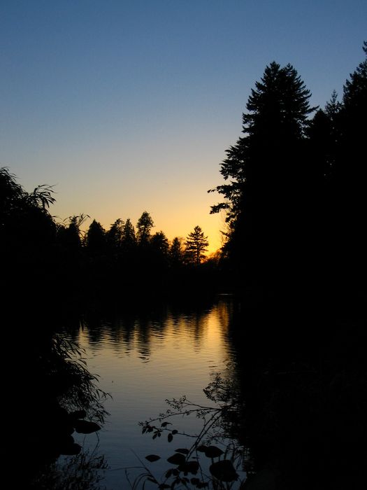 Lost Lagoon Sunset
Couché de soleil sur le lost lagoon du Stanley Park de Vancouver
Mots-clés: Stanley Park Vancouver