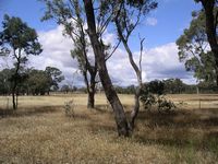 australie
Mots-clés: mount zero