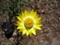 Promenade champêtre Mount Zero, Australie
Mots-clés: Mount-Zero Australie