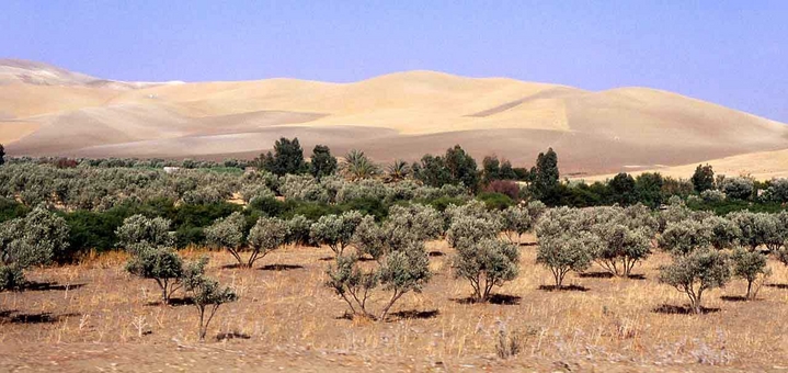 Les oliviers du Rif
La vallée du Rif Maroc
Mots-clés: Rif Maroc