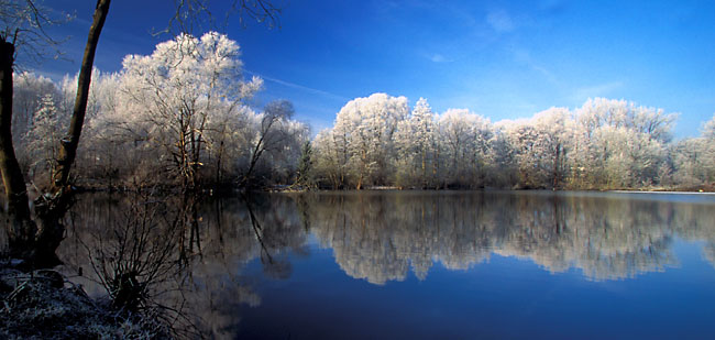 Arbres de glace
En Picardie le givre s'est accroché aux branches au bord de l'étang
Mots-clés: Picardie