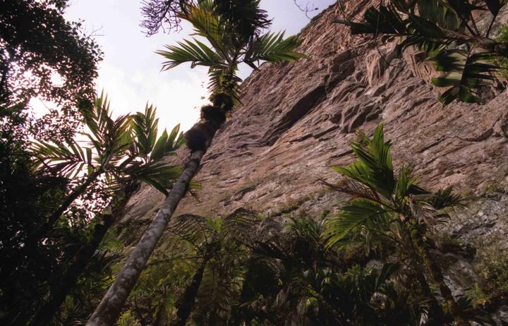 ascension du Roraima (Vénézuela)
Mots-clés: venezuela roraima