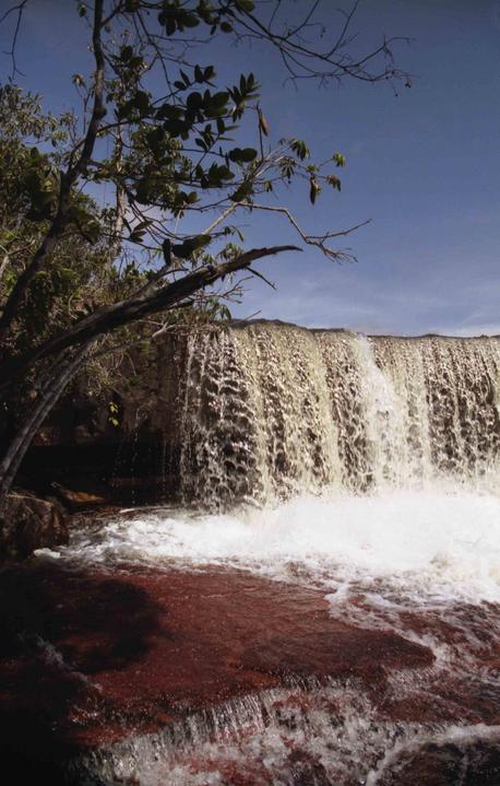 chute d'eau au Canaima (Vénézuela)
Mots-clés: venezuela canaima