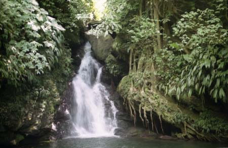 Cascade de Noria, Vénézuela
Cascade à proximité de la cote carabibe (Vénézuela)
Mots-clés: Vénézuela