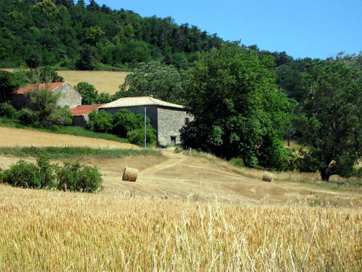 ferme ardechoise
Mots-clés: Ardèche France