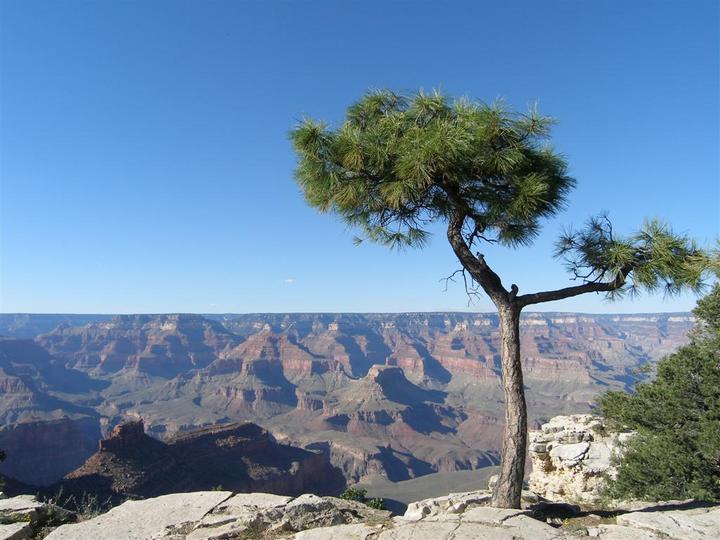 Grand Canyon USA
Mots-clés: Grand Canyon USA