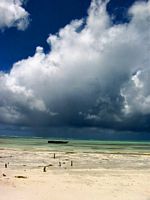 Tempête tropicale - Zanzibar Tanzanie
Mots-clés: Zanzibar Tanzanie