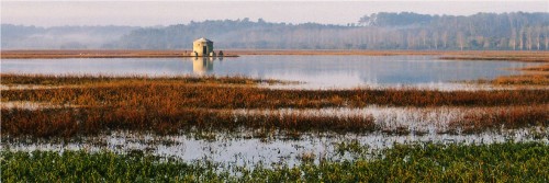 Réserve naturelle des Marais d'Orx
