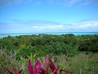 Couleur de l'île aux Nattes à Madagascar
Mots-clés: Madagascar