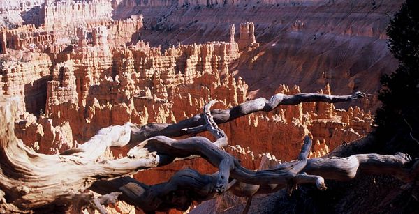 Bryce canyon, Etats-Unis
Mots-clés: Etats-Unis