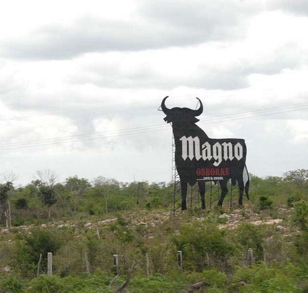 Taureau Magno du Mexique
Mexique
