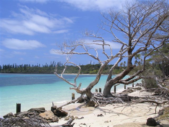 Ile des pins - Nouvelle-Calédonie
Mots-clés: Nouvelle-Calédonie