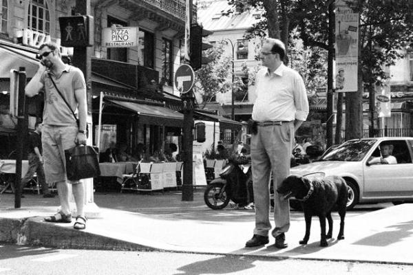Avec chien ou avec téléphone vers la pizza Pino, Paris
Mots-clés: Paris