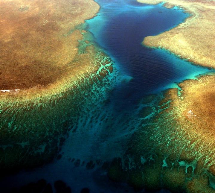 Barrière de corail à Mayotte, France
Mots-clés: Mayotte France