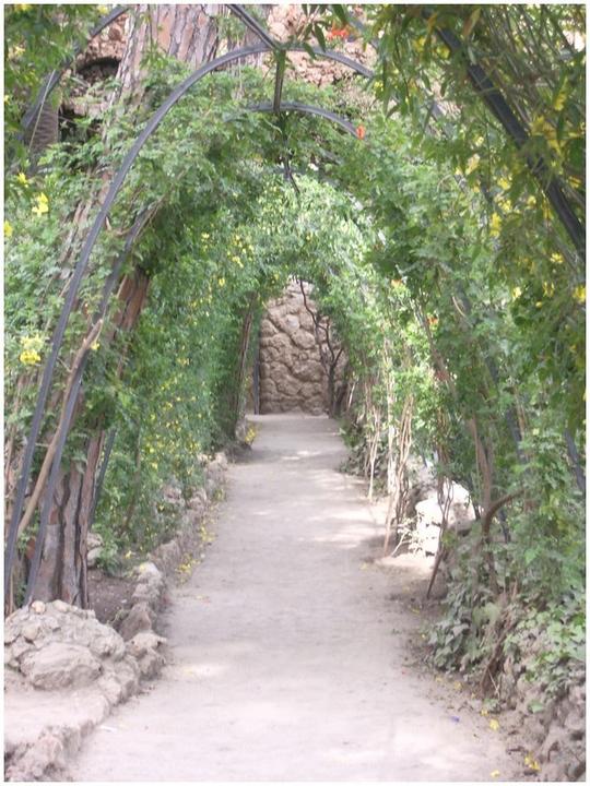 Parc Güell
Mots-clés: Barcelone