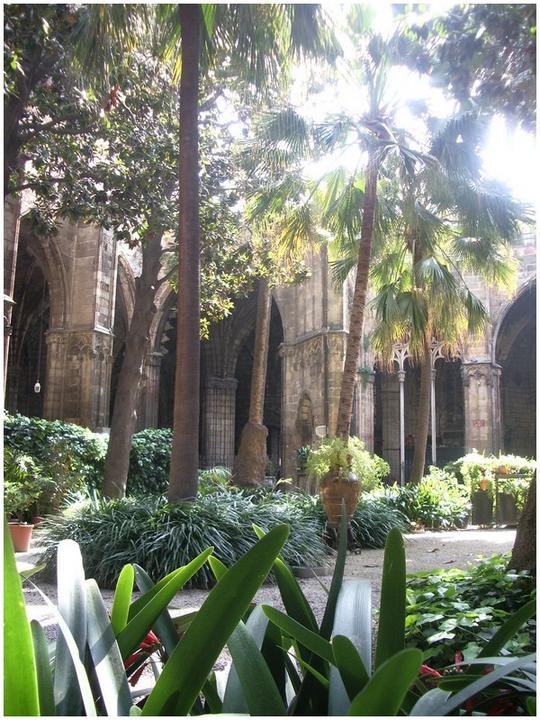 Cathédrale Gothique
Mots-clés: Barcelone Cathédrale Gothique