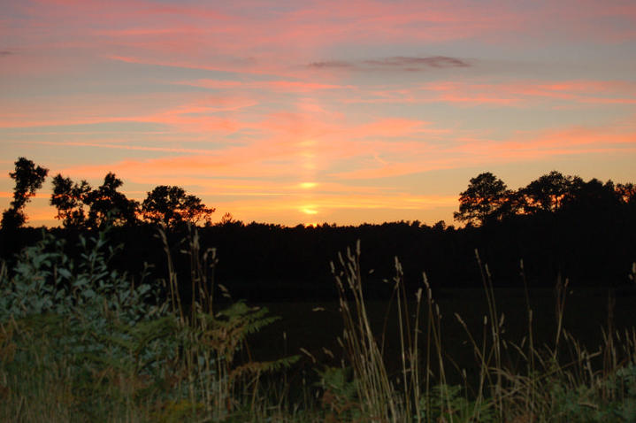 Coucher de soleil en forêt de Brocéliande
Mots-clés: Brocéliande