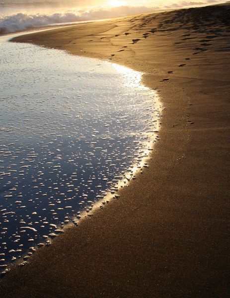 plage dorée au soleil
Mots-clés: la Réunion