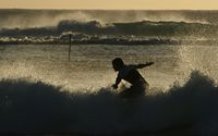 Surfeur dans la vague à la Réunion
Mots-clés: Réunion