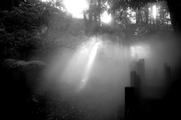Creuvasse Shamanique
A Chaumont Sur Loire , pour l'exposition des Jardins en 2005.
Le brouillard intense laise des bribes de paysages ressortir ! fou !
