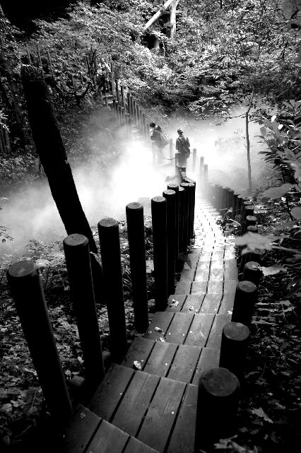 Forêt Shamanique
A chaumont sur Loire lors de l'exposition des jardins 
