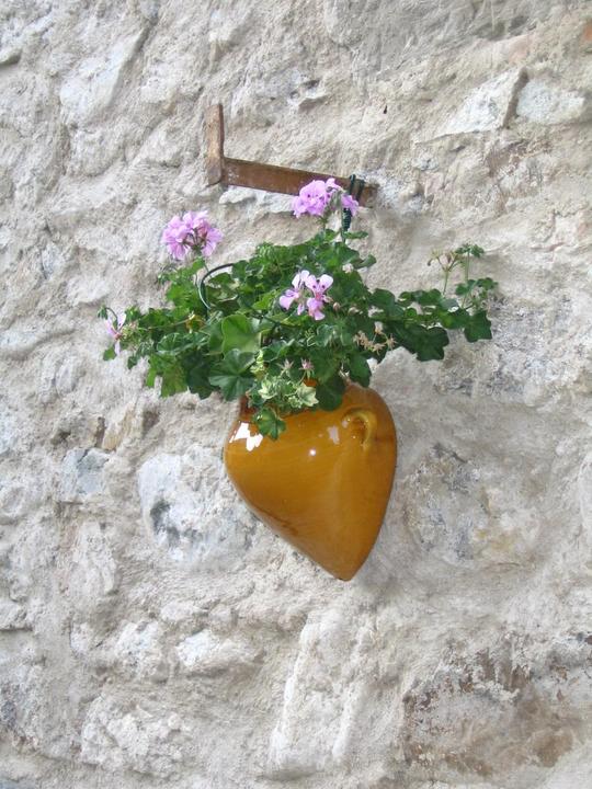 fleurs au mur
