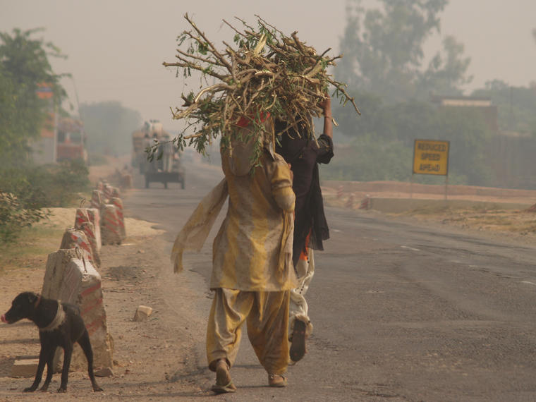 Port de bois sec sur la route d' AGRA, Inde
Mots-clés: Inde