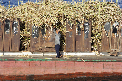Sur le Nil
bateau transportant des wagons de canne à sucre
