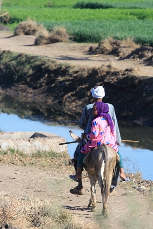 Promenade à la campagne
Fellah et sa fille sur un âne, Haute Egypte
