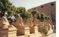 Allee_des_Beliers-egypte.jpg
