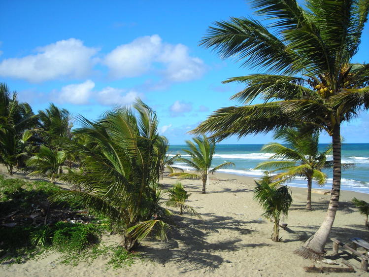 Une plage sauvage - République Dominicaine
Mots-clés: République-Dominicaine