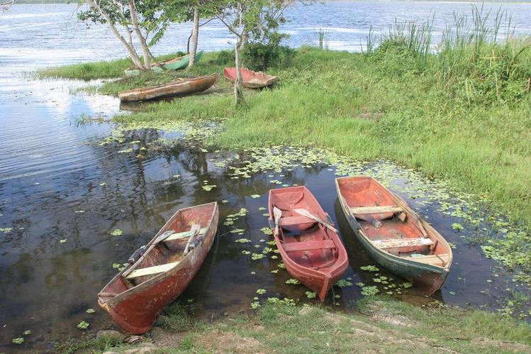 Pescando en la Laguna Limon
Laguna Limon, El Cedro, Miches, Republica Dominicana, Caribe - http://www.lacuevalimon.com
Mots-clés: Caribe Republica Dominicana Miches El Cedro Laguna Limon pescando