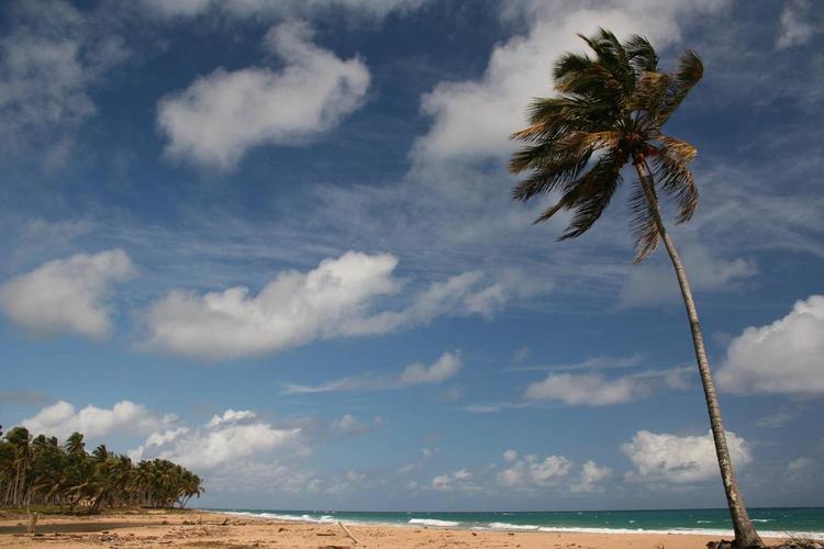 Playa Limon El Cedro Miches
La playa Limon en la manana - El Cedro, Miches, Republica Dominicana - http://www.lacuevalimon.com
Mots-clés: Caribe Republica Dominicana Miches El-Cedro Playa Limon