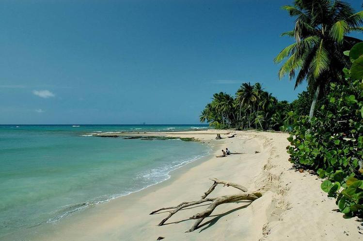 Playa Limon
Playa virgen in la costa Este de la Republica Dominicana en El Cedro, Miches - http://www.lacuevalimon.com
Mots-clés: Playa Limon Miches Republica Dominicana Caribe