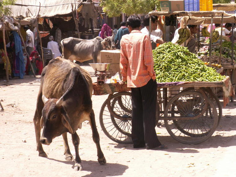 Village sur la route de Pokrane - Inde
Mots-clés: village Inde