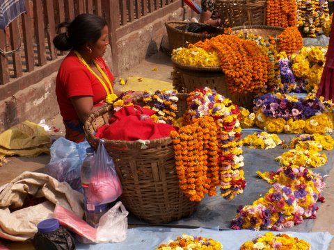 marché aux fleurs à Kathmandu - Népal
Mots-clés: marché fleur Kathmandu Népal
