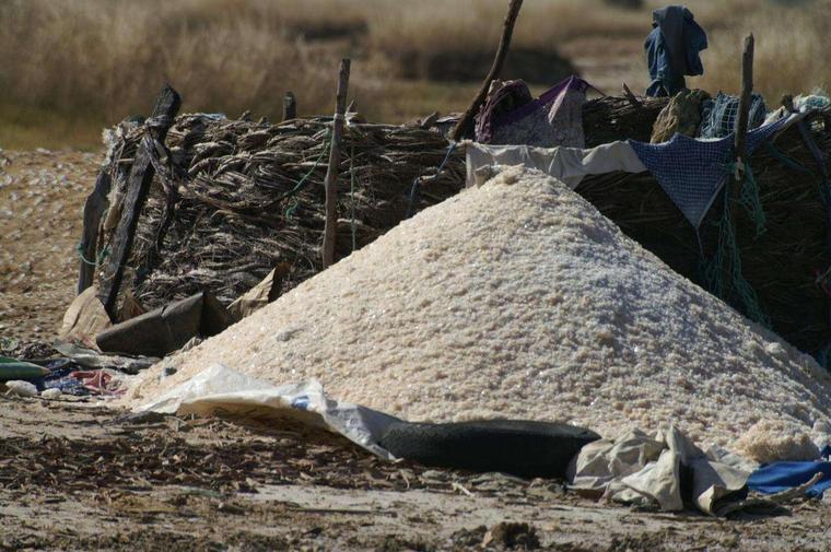 Exploitation du sel sur une ile du Saloum
Mots-clés: Senegal