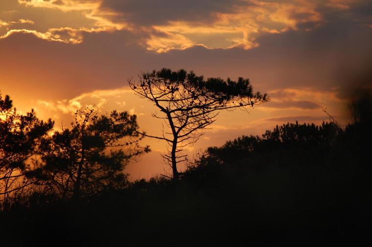 coucher de soleil (Jard sur mer)
Photo aôut 2007 vendée sud jard sur mer.
Mots-clés: soleil mer nature