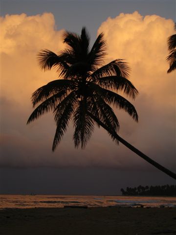 coucher de soleil
