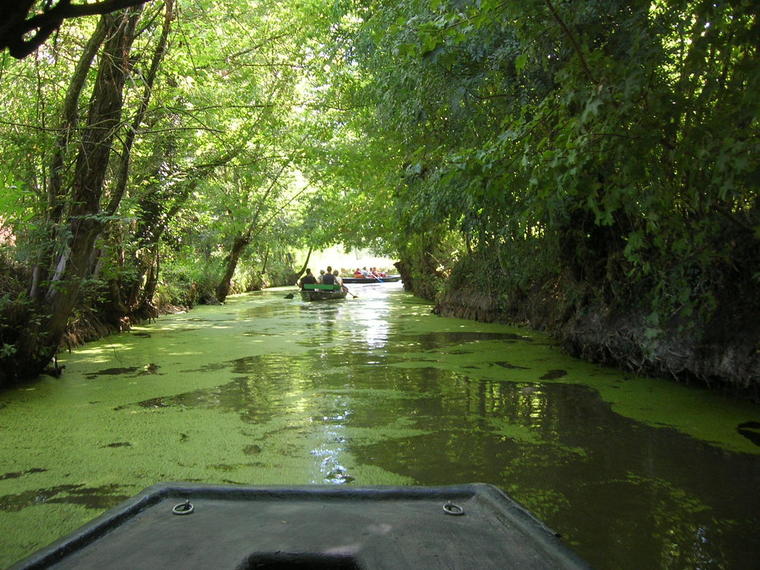 2005-LR-marais-010.JPG