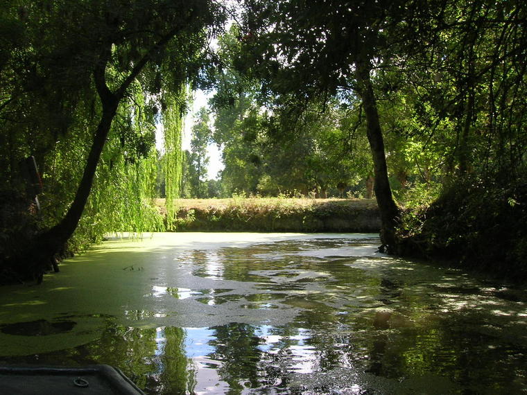 2005-LR-marais-011.JPG