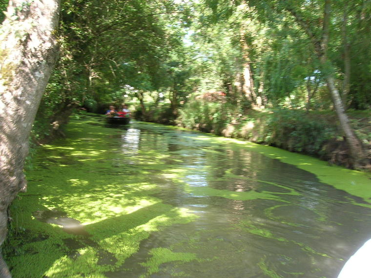 2005-LR-marais-012.JPG