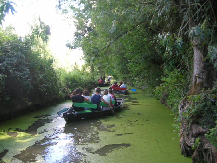 2005-LR-marais-013.JPG