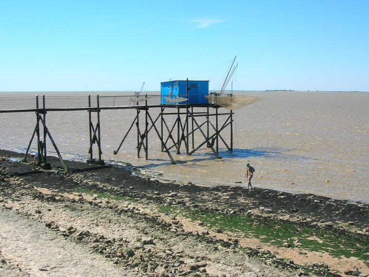 La cote Nord Marsilly
