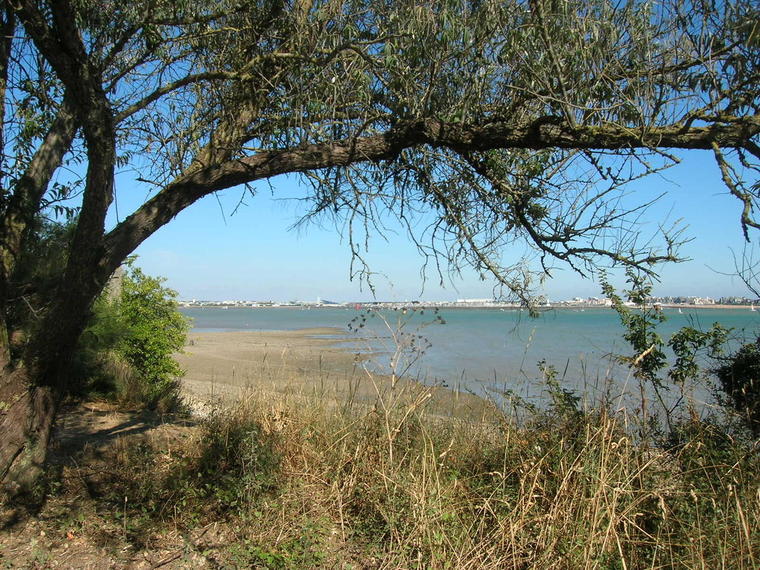 la cote à La Pallice
