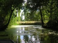 2005-LR-marais-011.JPG