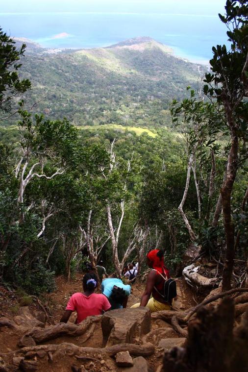 Balade dans la jungle de Mayotte
