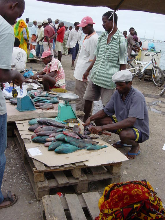 Vente du poisson (frais) sur le marche de mamoudzou
