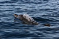 IMG_4885.jpg