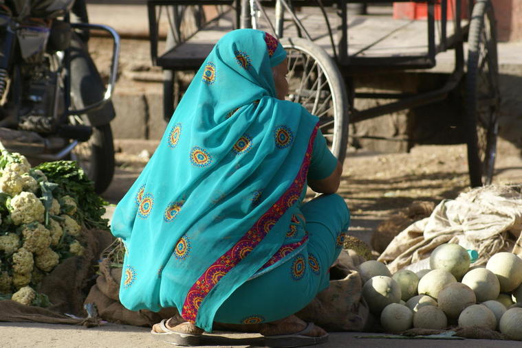 rajasthan
